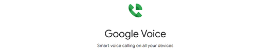 Google Voice Standard