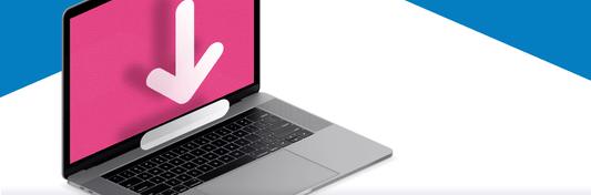 Website Import Vetting